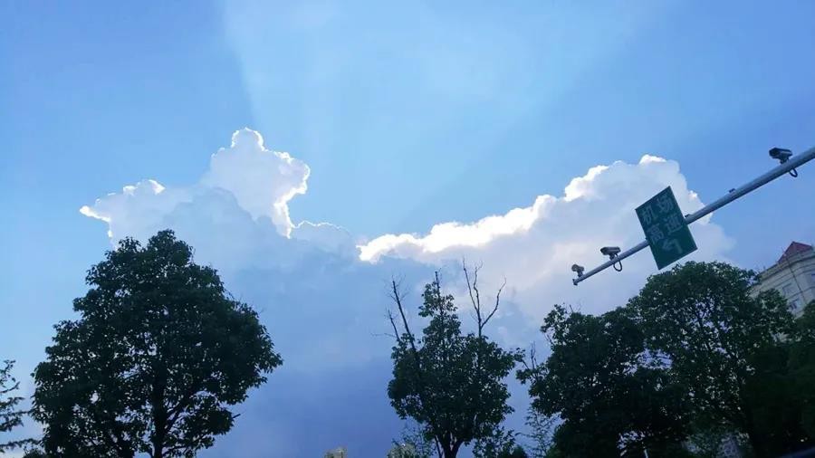 從“碳中和”看十四五大氣治理4大風向標